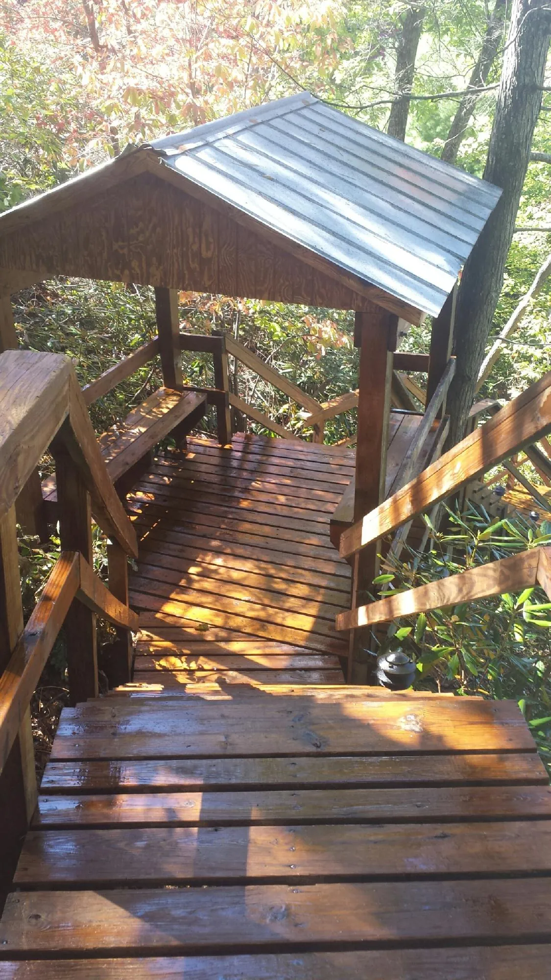 Freshly stained wood walkway and covered shelter with a metal roof in Weston