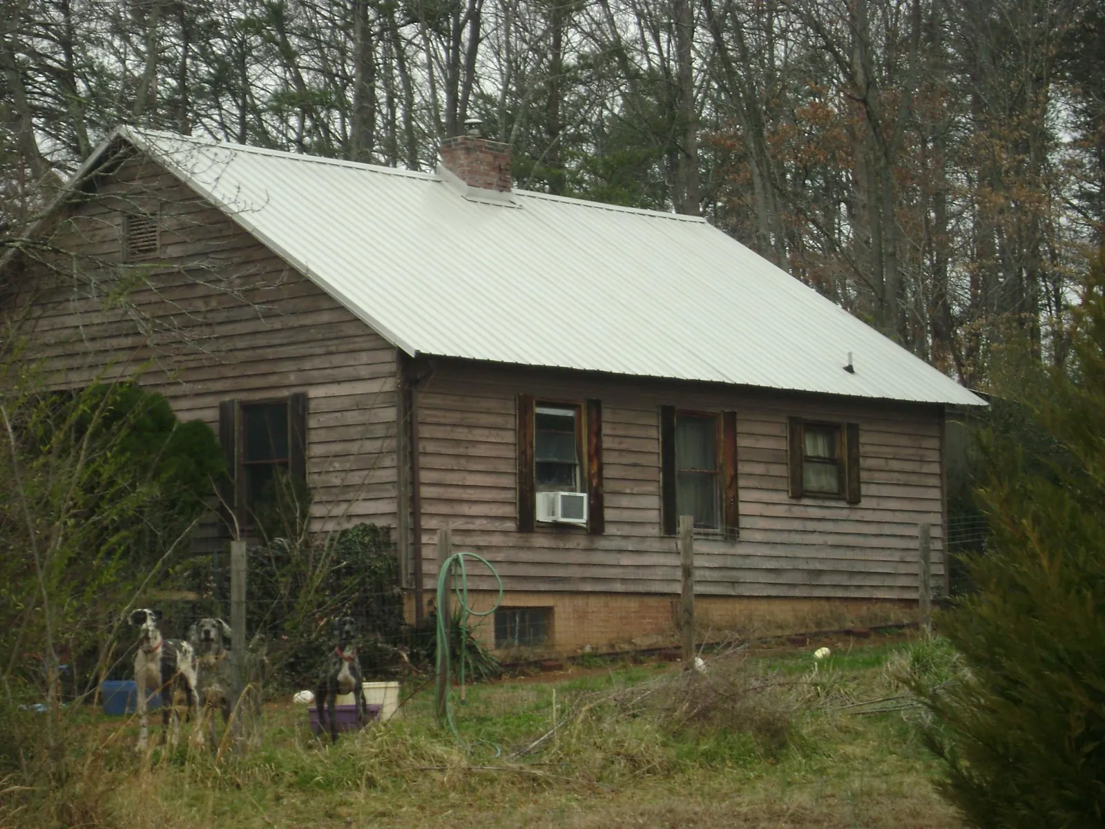 White metal roof on an old wood sided farmhouse, from a Asphalt Shingle Roof Repair job in Weston